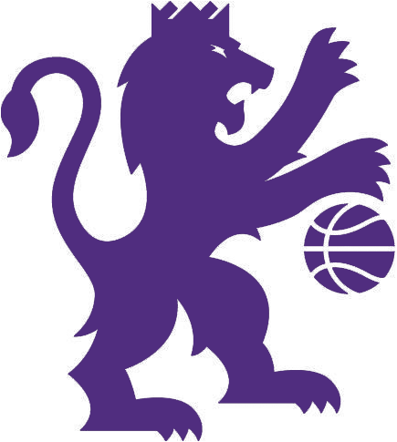 Sacramento Kings 2016-Pres Alternate Logo iron on transfers for fabric version 4